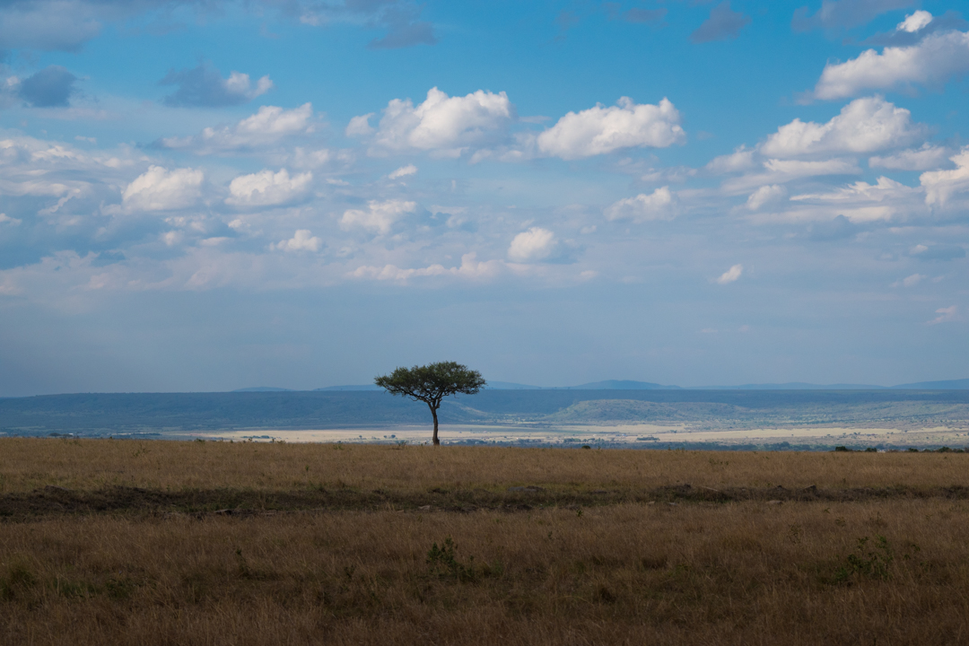 Kenia: 10 días de safari y naturaleza salvaje